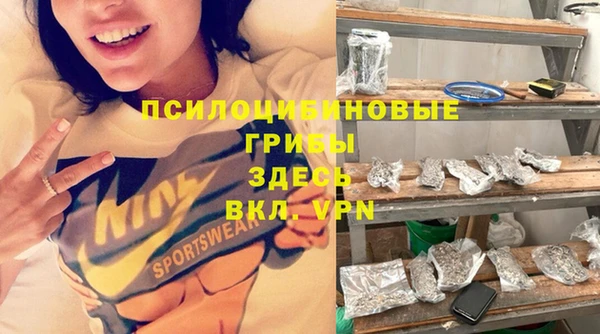 амф Алзамай