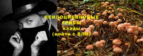 амф Алзамай