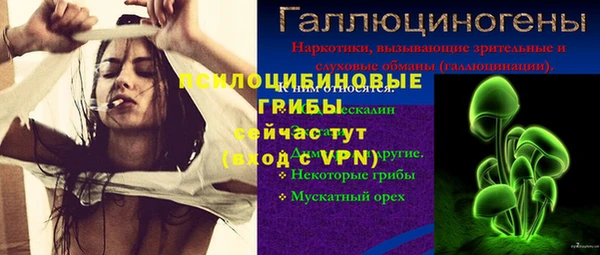 амф Алзамай